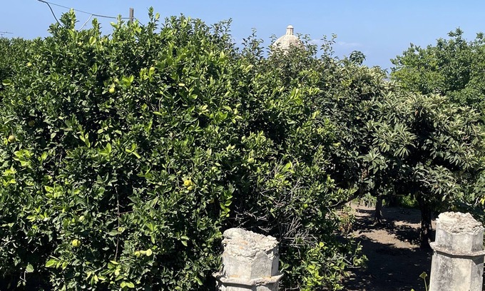Bouvet Island House | An oasis of comfort with private parking within walking distance of downtown Tropea.