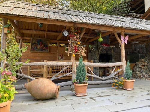 Borjomi Apartment | Anano's House