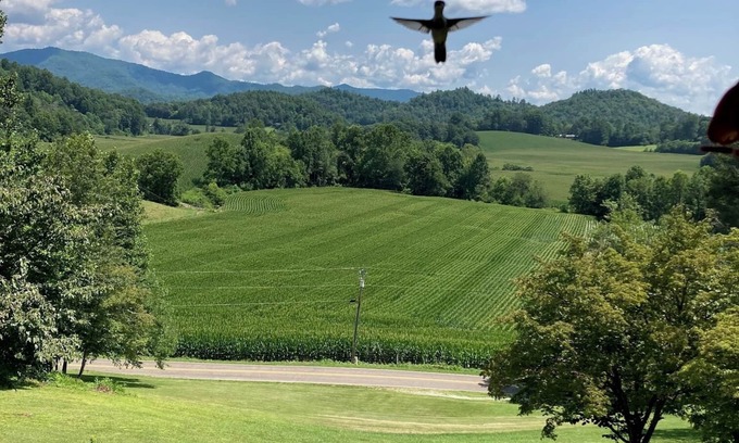 Franklin House | Andy's View- Enjoy a quiet mountain getaway near Franklin, North Carolina