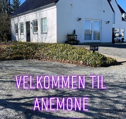 Vorbasse Apartment | Anemone huset
