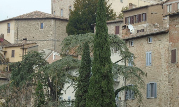 Todi Apartment | Angela's House on the Ancient Walls of Todi for 2/4 people