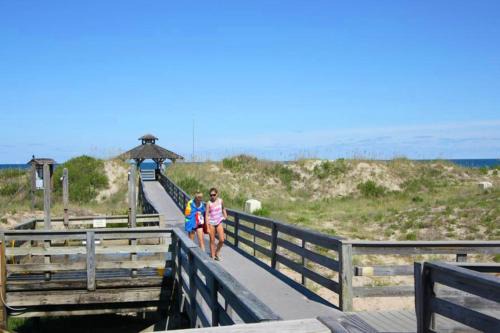 Corolla Light House | Animal House