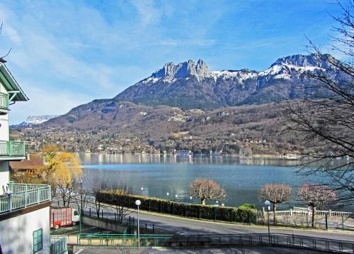 Duingt Apartment | Annecy-Pavillon