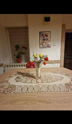 Old Town Apartment | Ap Central Traian Moșoiu 2 Parcare proprie