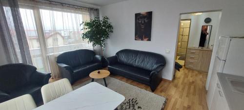 Floresti Apartment | Apart Ovi