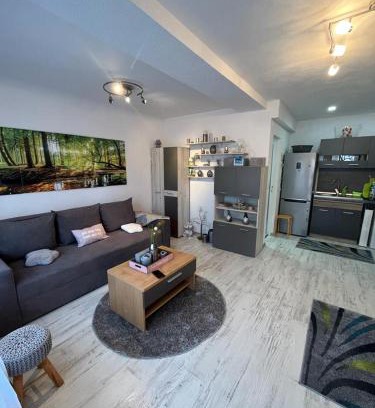 Sfantu Gheorghe Apartment | Apartament Acasa Sf.Gheorghe