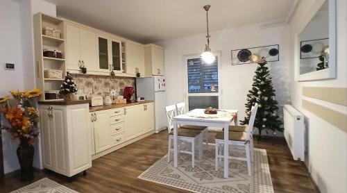 Petrosani Apartment | Apartament Atena