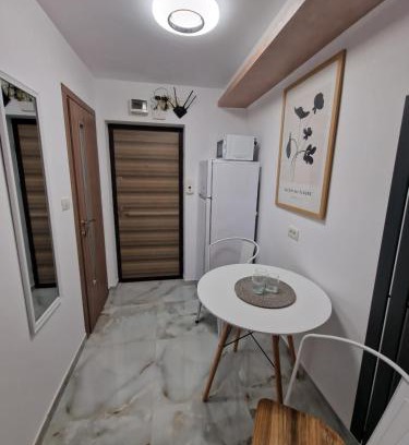 Resita Apartment | Apartament cu o camera