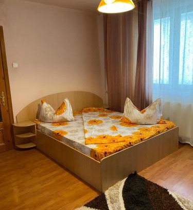 Baile Felix Apartment | Apartament Darya