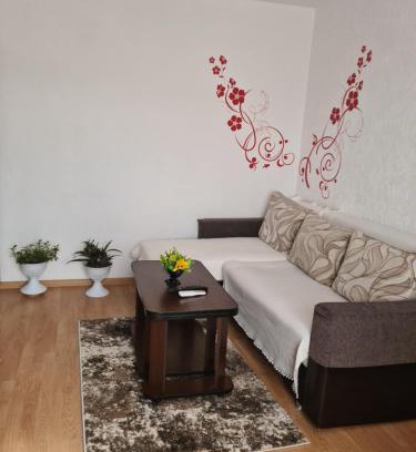 Doua Mai Apartment | Apartament Mario Forty
