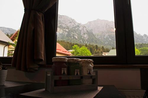Busteni Apartment | Apartament Mountain Life