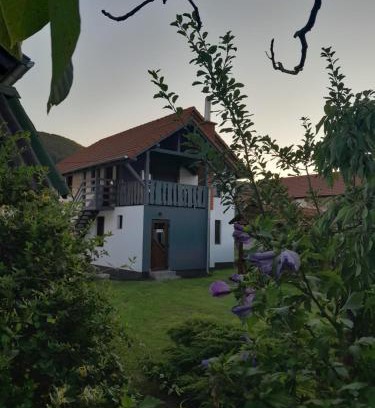 Praid Apartment | Apartamente Ambrus Praid