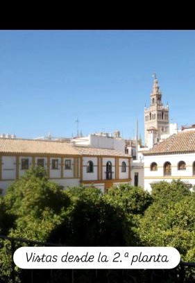 Santa Cruz Apartment | Apartamentos en la Plaza Doña Elvira, 7