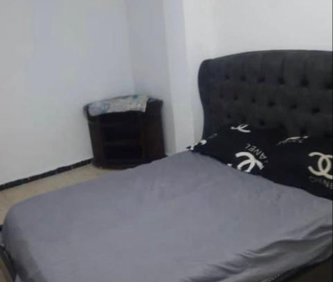 Salamandre Apartment | Apartement T3 salamandre