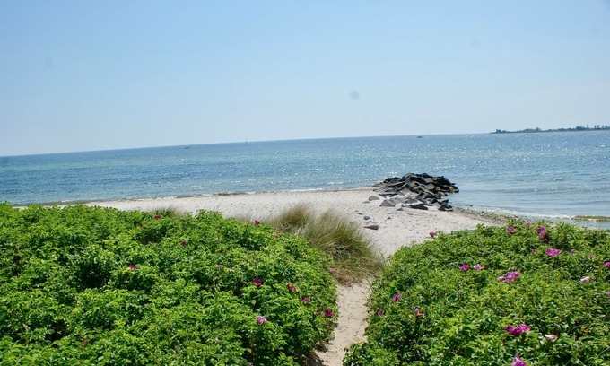 Fehmarnsund Apartment | Apartment /app. for 4 guests with 100m² in Fehmarn OT Fehmarnsund (22244)