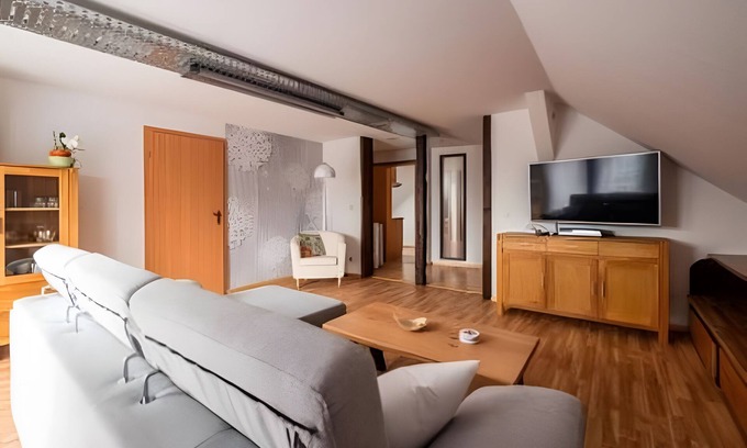 Großraschen Apartment | Apartment '1' with Shared Terrace, Private Garden and Wi-Fi