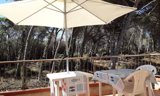 Marina di Bibbona Apartment | Apartment 100 m (real) from the sea