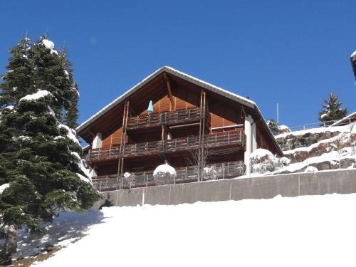 Engelberg Apartment | Apartment Fellenrüti 81 by Interhome