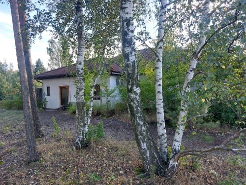 Weiwasser/O.L. Apartment | Apartment GNUBBEL am Wald