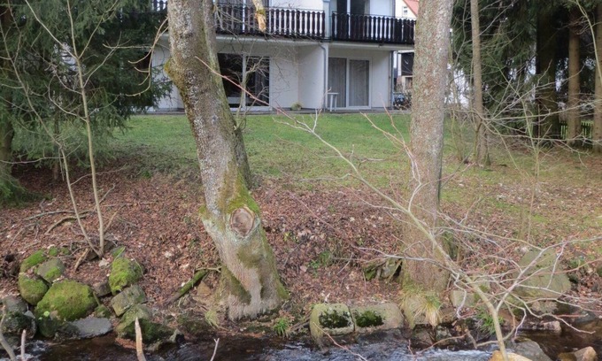 Braunlage Apartment | Apartment Grün am Wurmberg