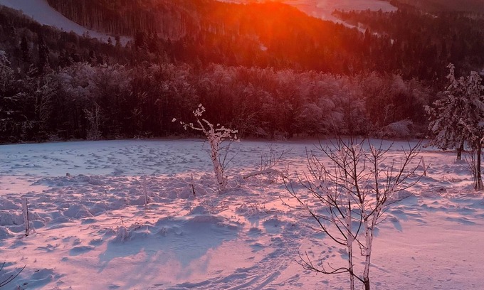 Travexin Apartment | Apartment in the heart of the High Vosges!