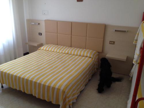 Faro Apartment | Apartment Istria