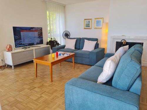 Montreux Apartment | Apartment Montreux - Panorama by Interhome