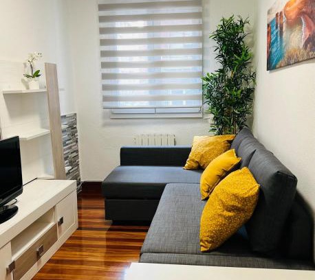Castro Urdiales Apartment | Apartmento El Pedregal