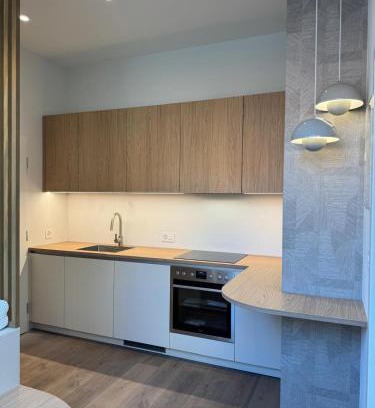 Neuchatel Apartment | Apparemment in the center of Neuchâtel Serenity