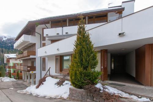 San Martino di Castrozza Apartment | Appartamento Fiorella