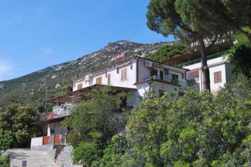 Fetovaia Apartment | Appartamenti Fetovaia Lavanda