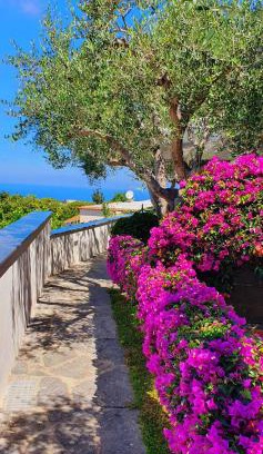 Panza Apartment | Appartamenti Luongo