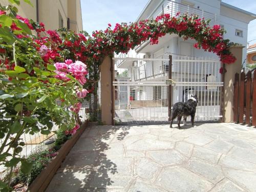 Loano Apartment | Appartamento ALöa