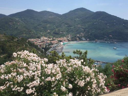 Valle Santa Apartment | Appartamento Romeo