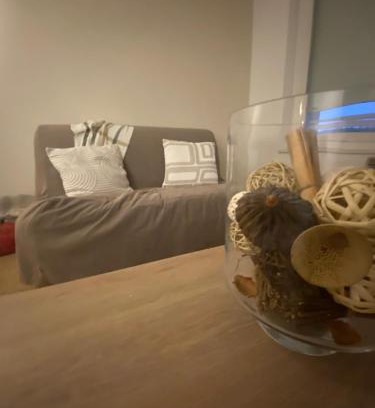 Varennes-Saint-Sauveur Apartment | Appartement chaleureux au cœur de la Bresse
