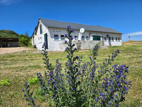 Sauerthal House | Appartement am Landhaus