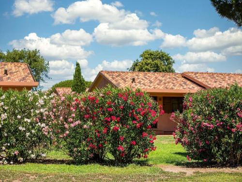 Marina di Montalto Apartment | Appartement mit Terrasse in Montalto Marina