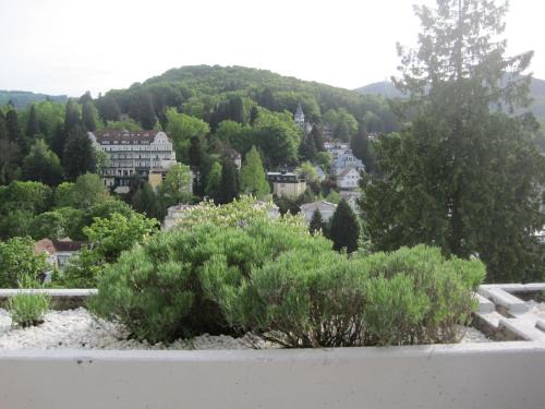 Baden-Baden Apartment | Appartement Panoramablick