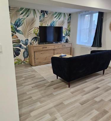 Valenciennes Apartment | Appartement T2 cosy à 5min à pieds de la gare