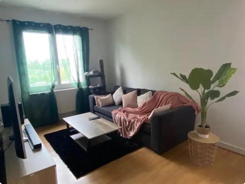 Bayonne Apartment | Appartement T2 entier et spacieux près du centre historique de Bayonne