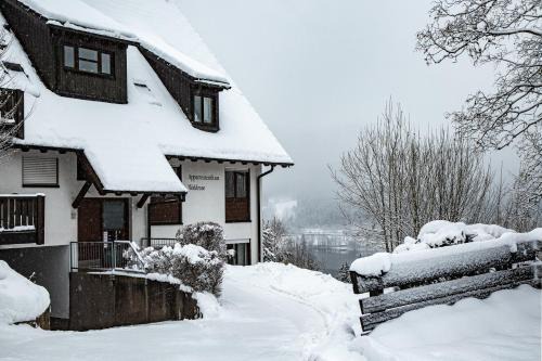 Hinterzarten Apartment | Appartements Waldrose