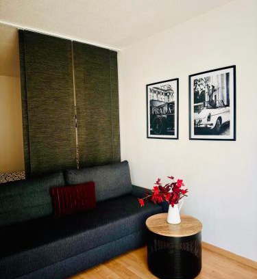 Friedrichstadt Apartment | Appartment am Bahnhof Mitte