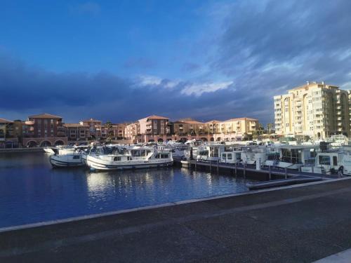 Port Ariane Apartment | Appt cosy calme proche de la mer