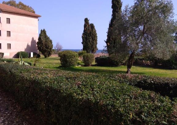 Moriani-Plage Apartment | Appt plage et soleil