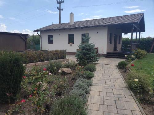 Sincraieni House | Aqua Garden