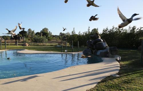 Villamanrique de la Condesa Hotel | Ardea Purpurea
