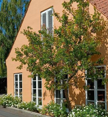 Ærø Municipality Hotel | Aroma Guesthouse