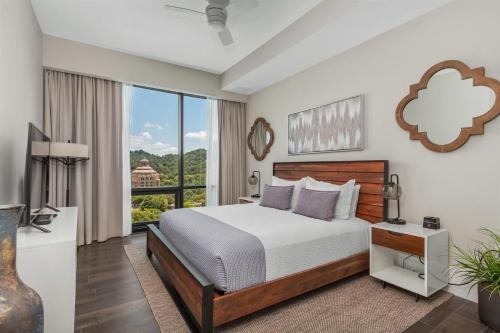 Downtown Asheville Apartment | Arras Altitude Adjustment