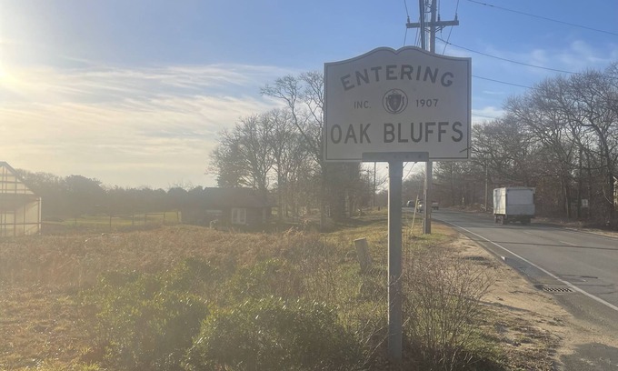 Oak Bluffs House | ,Artist Guest House on beautiful estate open concept King Sized Bunk Beds