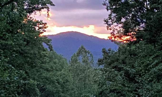 Fletcher Cabin | Asheville Mtn Side Cabin: Large Porch-Hot Tub-Trail-2 Streams-7 Wooded Acres!